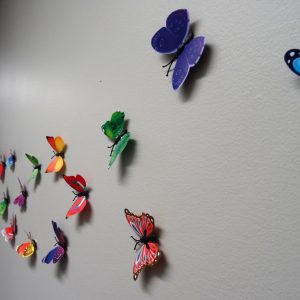 Gallery 1 (butterflies)